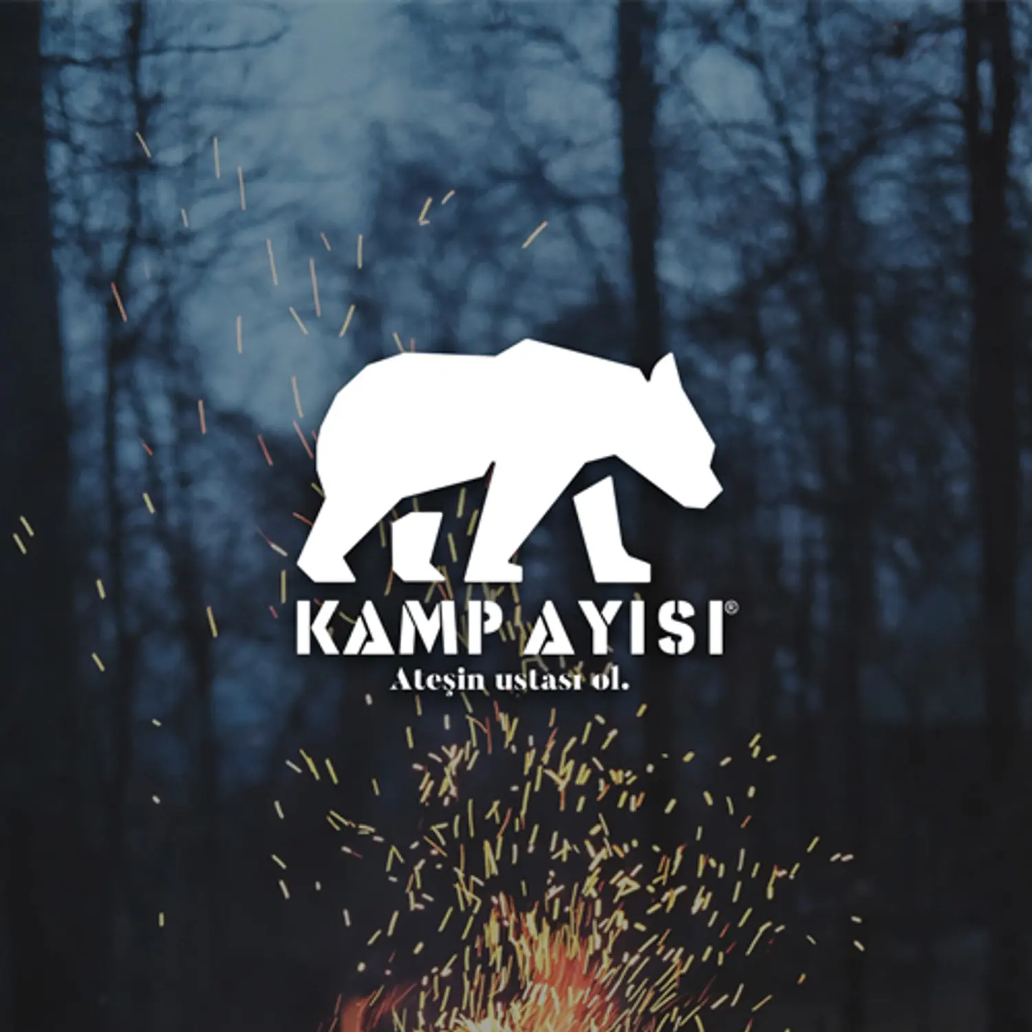 Kamp Ayısı