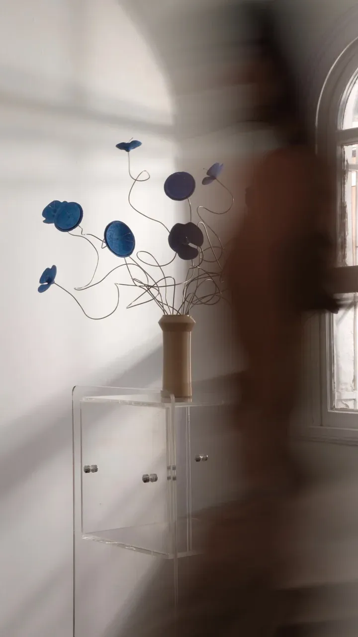 reels