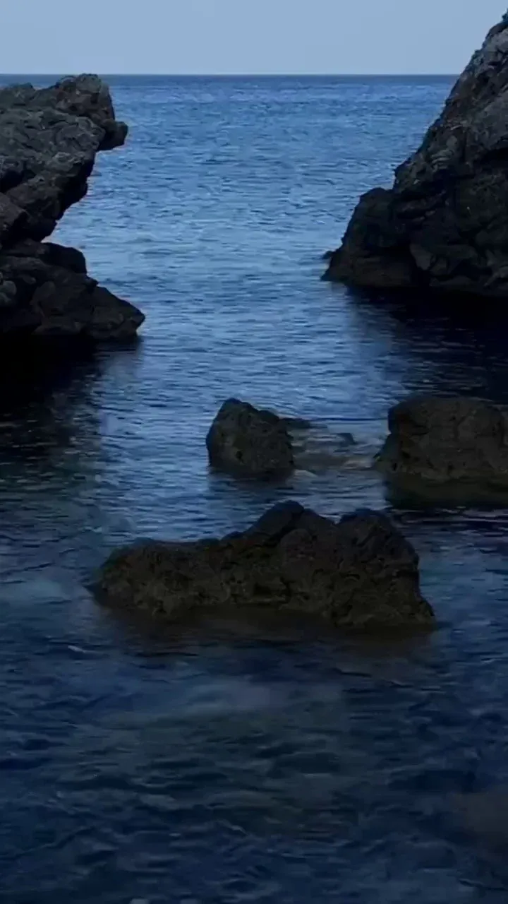 reels