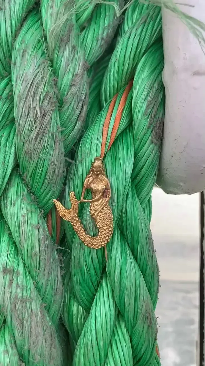 reels