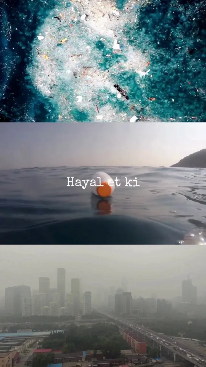 reels